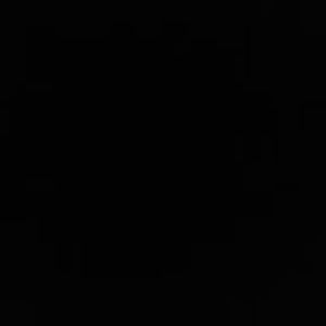 Meet your Posher, Gabriela3